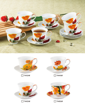 cup&saucer -12pcs